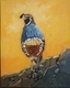 Covid Quail #5 (Sold)