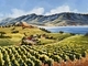 Beyond the Vineyard (SOLD)