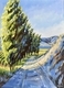 Catch the Wind (Sold)