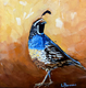 Covid Quail #23 (Sold)