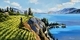 Vineyard Vista (Sold)